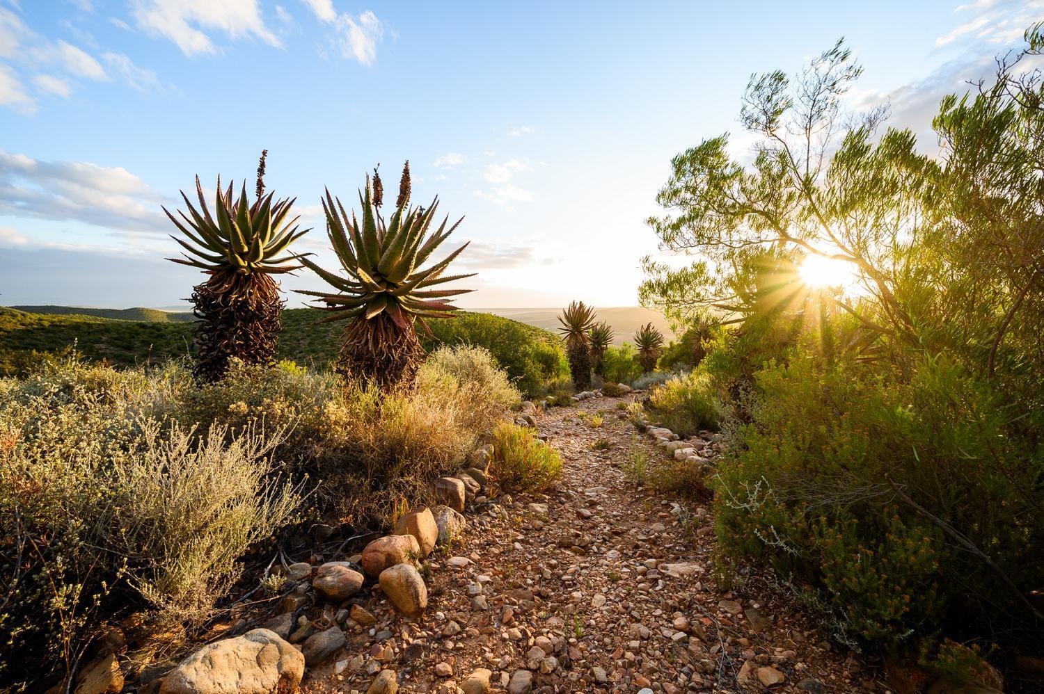 Le Petit Karoo Ranch Bed & Breakfast Oudtshoorn Luaran gambar