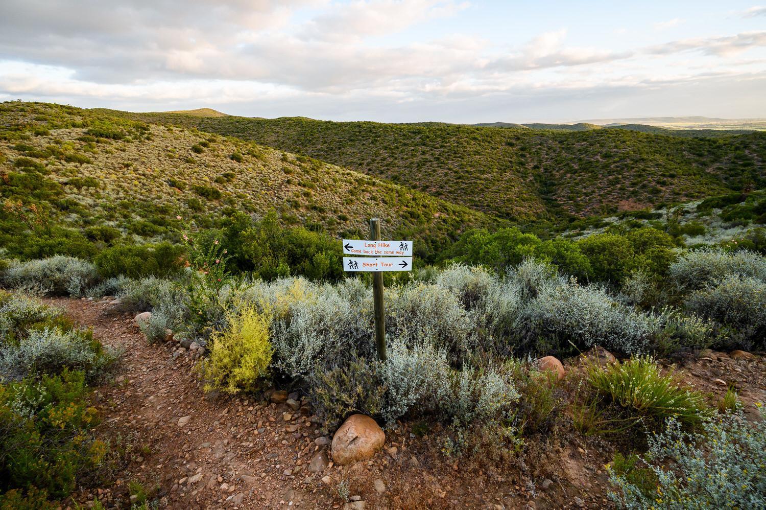 Le Petit Karoo Ranch Bed & Breakfast Oudtshoorn Luaran gambar