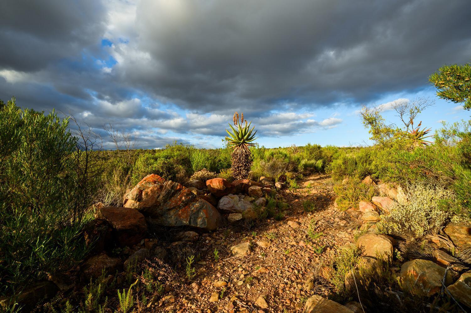 Le Petit Karoo Ranch Bed & Breakfast Oudtshoorn Luaran gambar