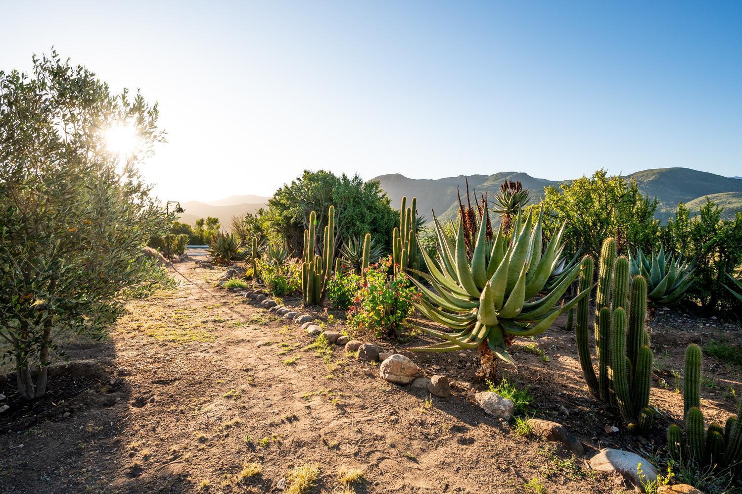 Le Petit Karoo Ranch Bed & Breakfast Oudtshoorn Luaran gambar