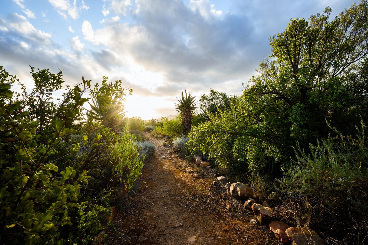 Le Petit Karoo Ranch Bed & Breakfast Oudtshoorn Luaran gambar