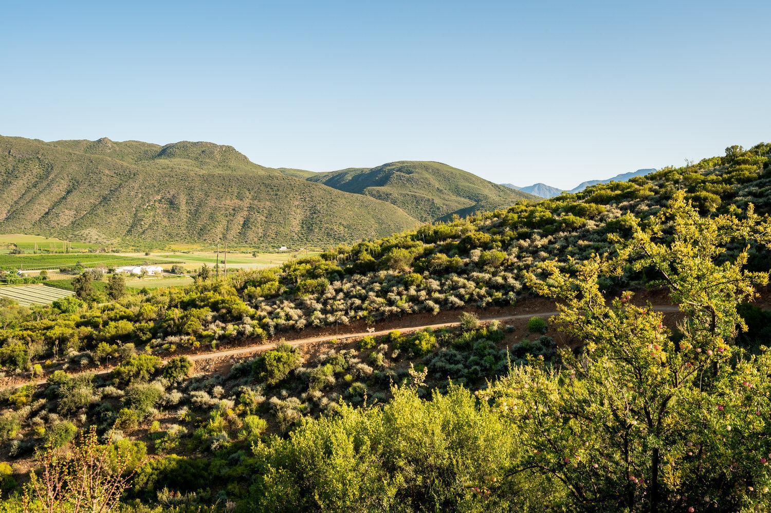 Le Petit Karoo Ranch Bed & Breakfast Oudtshoorn Luaran gambar