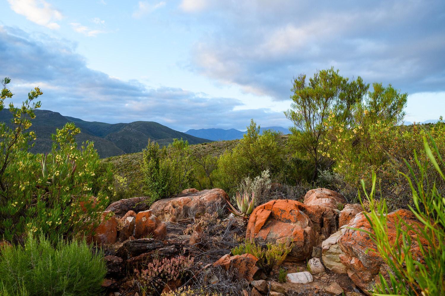 Le Petit Karoo Ranch Bed & Breakfast Oudtshoorn Luaran gambar