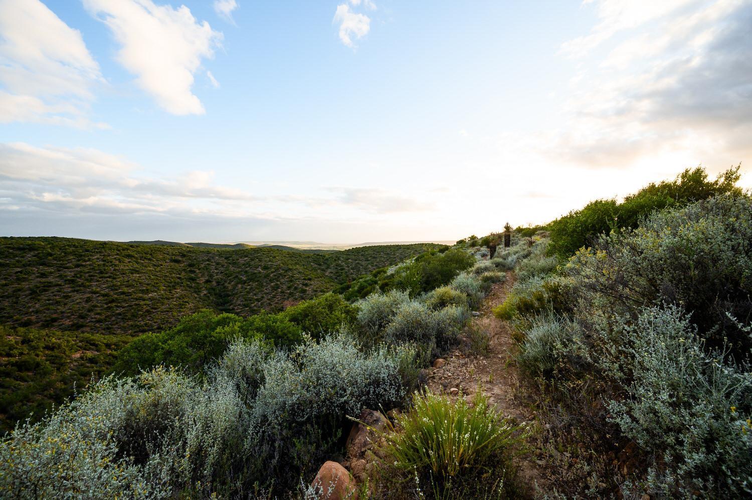 Le Petit Karoo Ranch Bed & Breakfast Oudtshoorn Luaran gambar