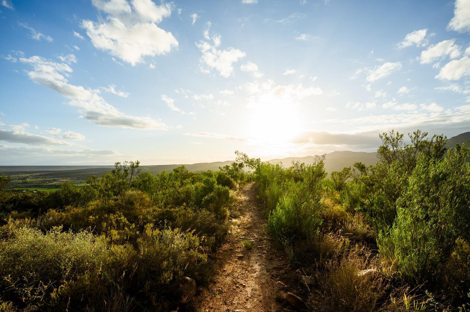 Le Petit Karoo Ranch Bed & Breakfast Oudtshoorn Luaran gambar