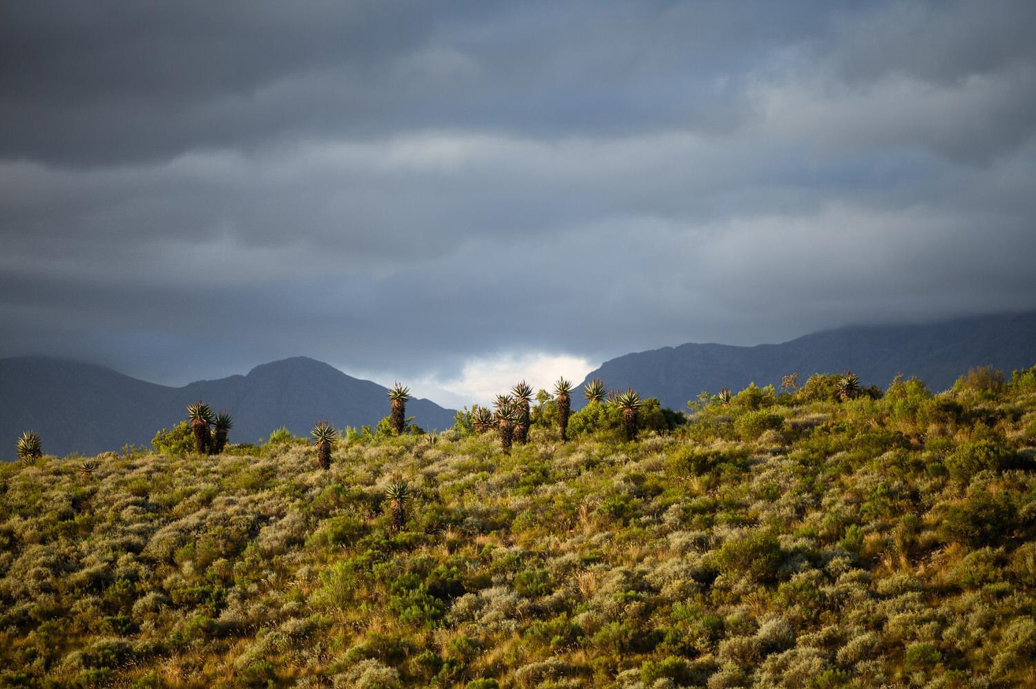 Le Petit Karoo Ranch Bed & Breakfast Oudtshoorn Luaran gambar