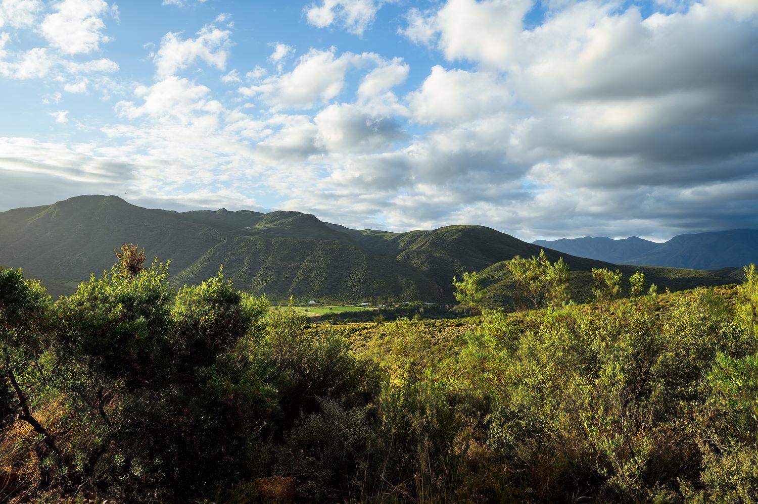 Le Petit Karoo Ranch Bed & Breakfast Oudtshoorn Luaran gambar