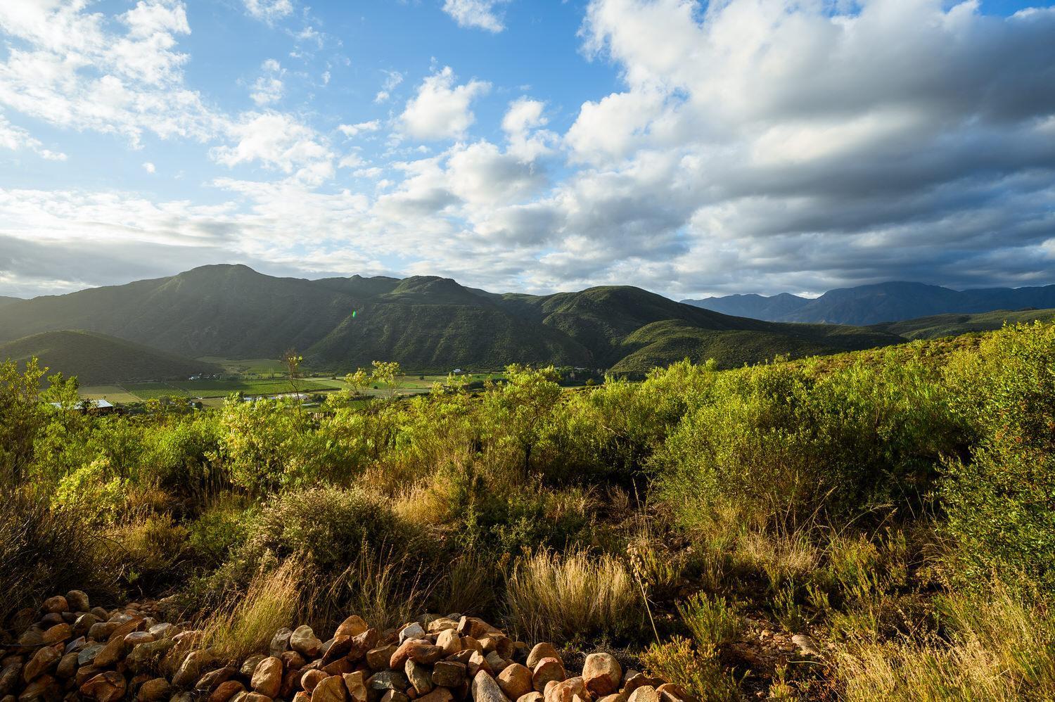 Le Petit Karoo Ranch Bed & Breakfast Oudtshoorn Luaran gambar