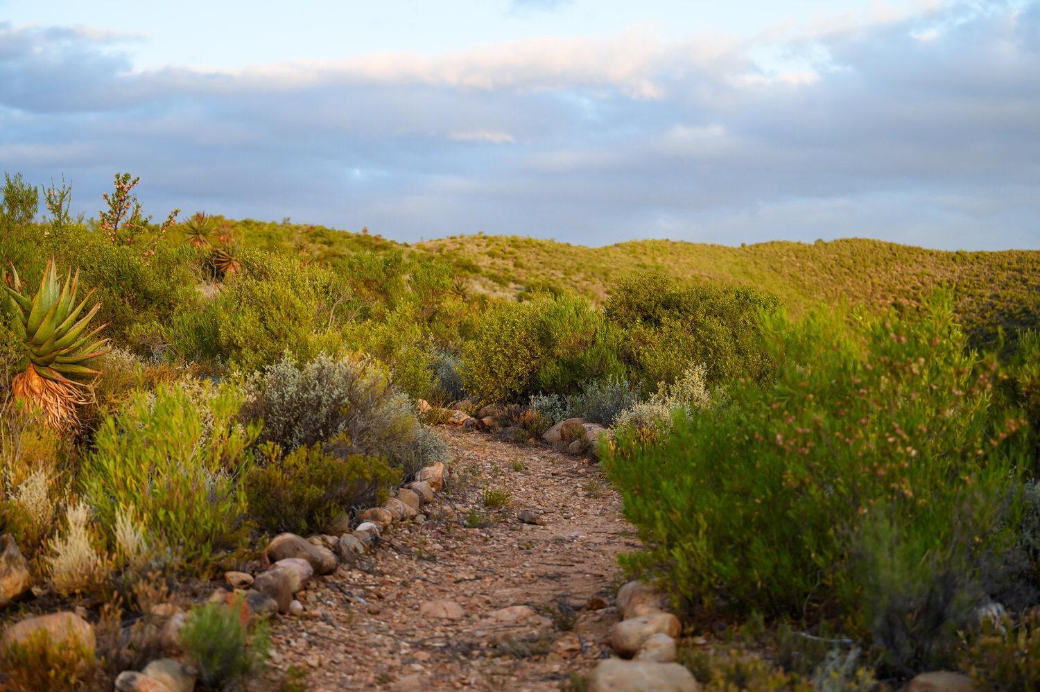 Le Petit Karoo Ranch Bed & Breakfast Oudtshoorn Luaran gambar