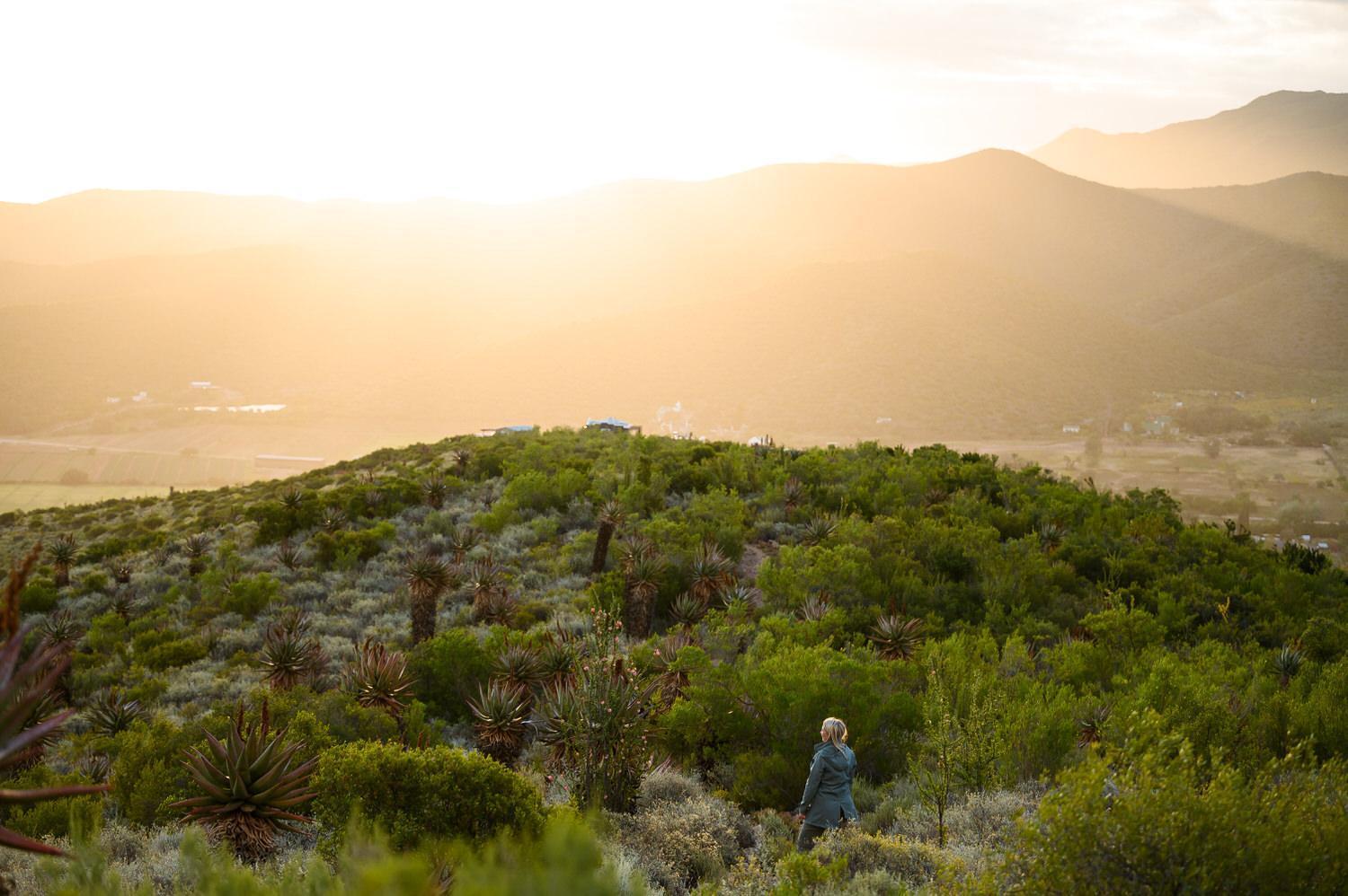 Le Petit Karoo Ranch Bed & Breakfast Oudtshoorn Luaran gambar