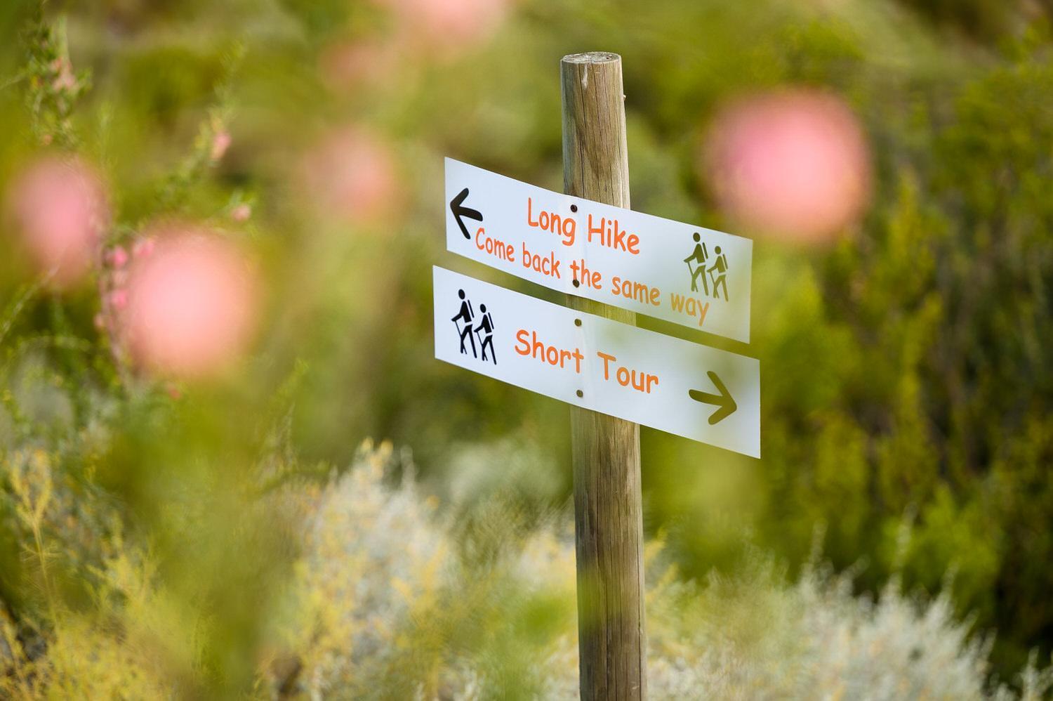 Le Petit Karoo Ranch Bed & Breakfast Oudtshoorn Luaran gambar