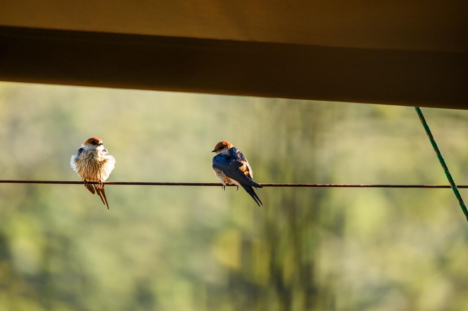 Le Petit Karoo Ranch Bed & Breakfast Oudtshoorn Luaran gambar